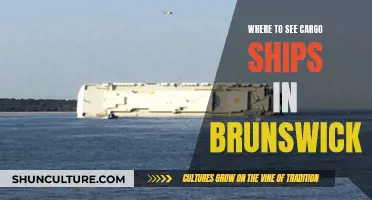 Cargo Ships in Brunswick: Where to Watch