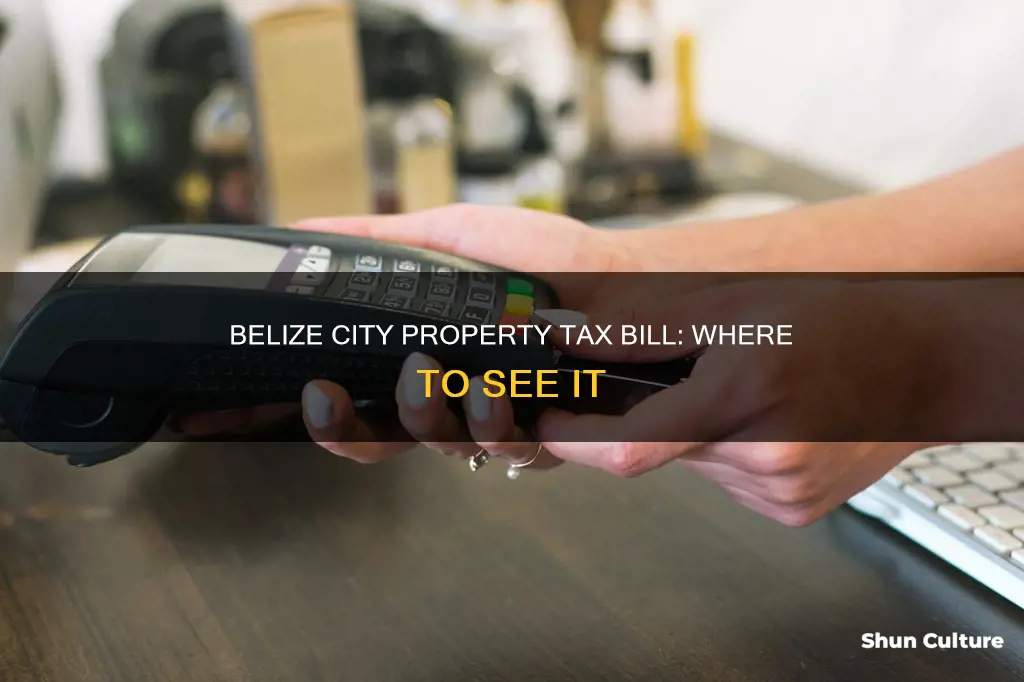 where to see my property tax bill for belize city