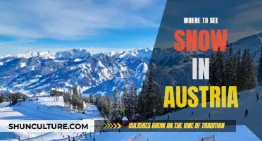 Explore Austria's Winter Wonderland: Snow-clad Destinations