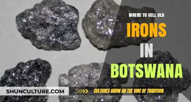 Top Spots to Sell Your Old Irons in Botswana Easily