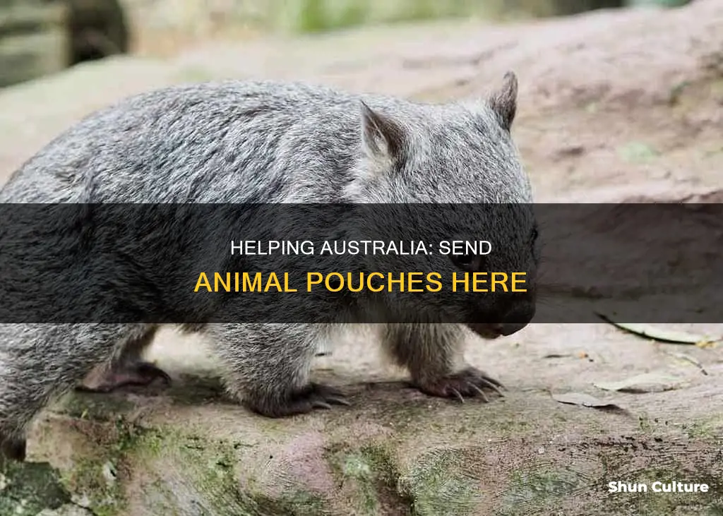 where to send animal pouches for australia