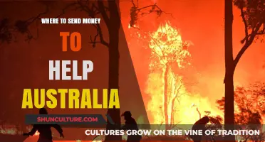 Aid Australia: Send Money to Support Bushfire Recovery
