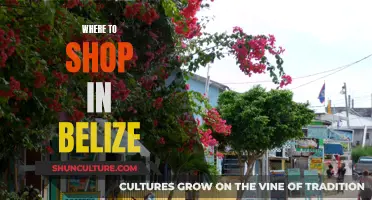 Shopper's Guide to Belize