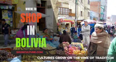 Shopaholic's Guide to Bolivia: Best Places to Splurge