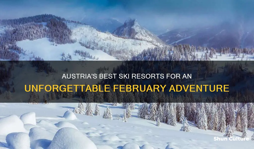 where to ski in austria in February