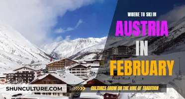 Best Austrian Ski Resorts for a February Getaway