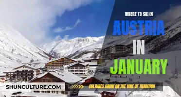 Best Austrian Ski Resorts to Visit in January