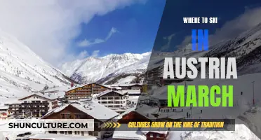 Skiing in Austria: Best Resorts to Visit in March