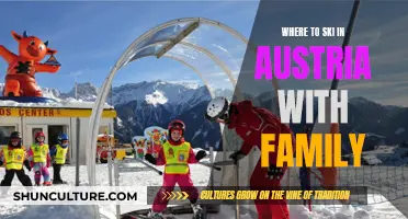 Family-Friendly Ski Resorts in Austria: Where to Go?