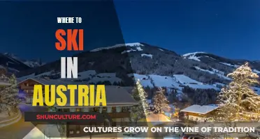 Discover Austria's Top Ski Resorts and Slopes