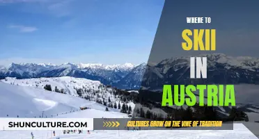 Austria's Top Ski Resorts: A Guide to Winter Adventures