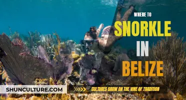 Belize's Best Snorkeling Spots