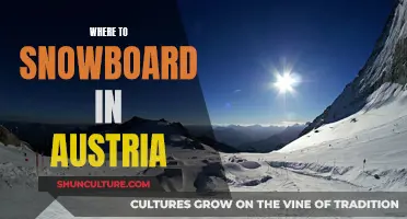 Austria's Best Snowboarding Spots: A Guide to Winter Adventures