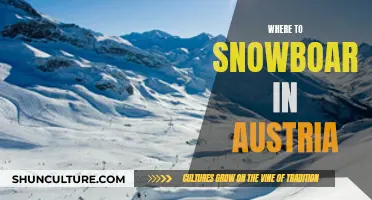 Snowboarders' Guide to Austria: Top Resorts and Runs