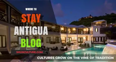 Discover Antigua's Best Accommodations: Top Stays for Every Traveler