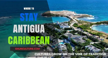 Top Antigua Caribbean Resorts: Best Places to Stay for an Unforgettable Vacation