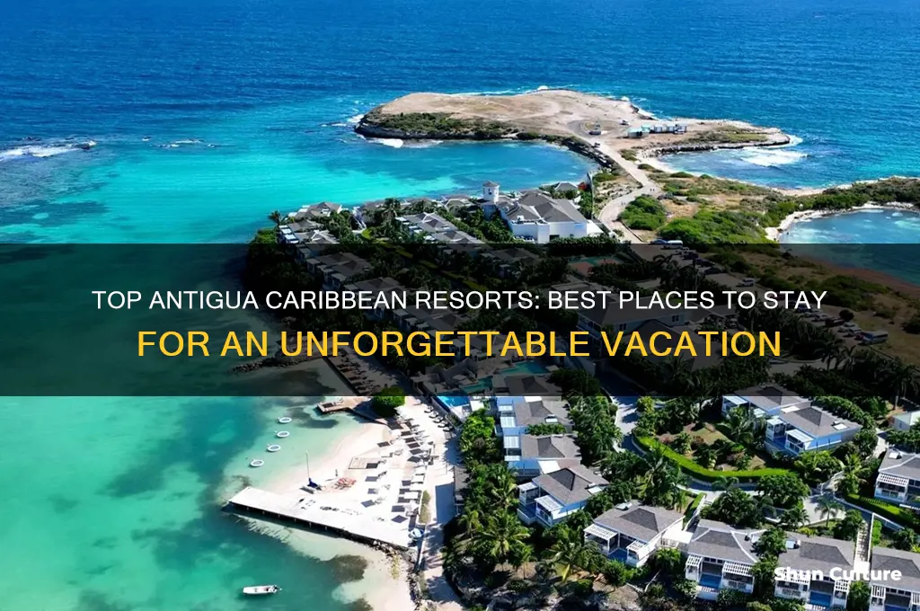 where to stay antigua caribbean