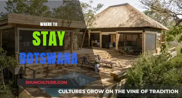 Discover Botswana's Best Lodges: Top Stays for an Unforgettable Safari Adventure