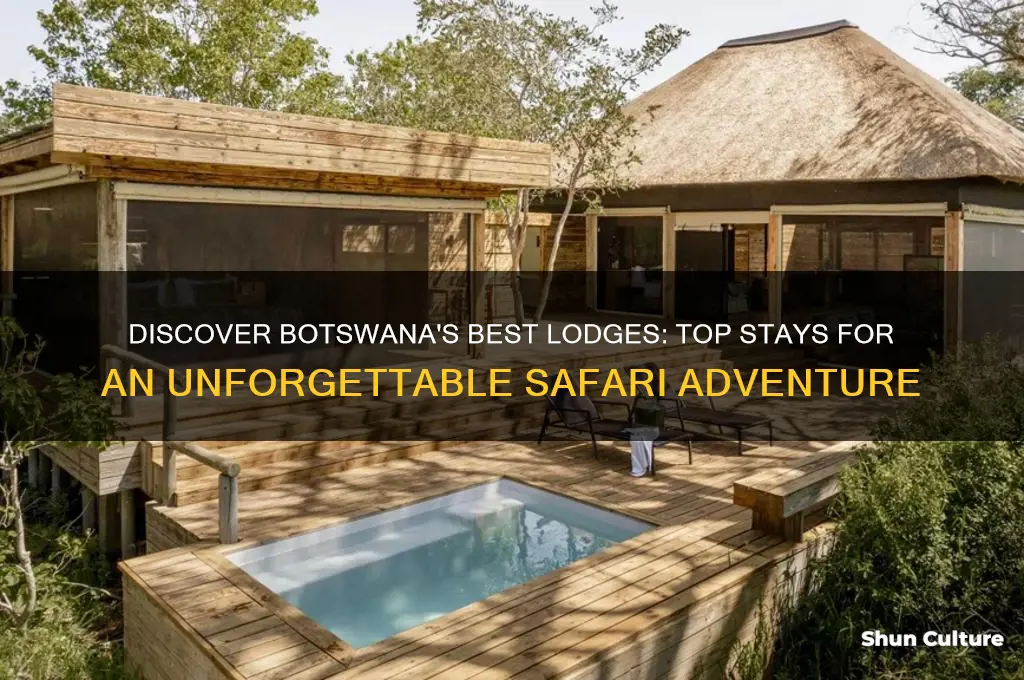 where to stay botswana