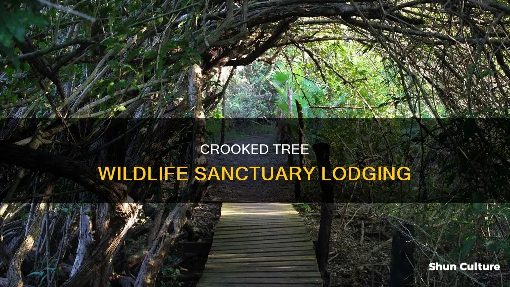 where to stay crooked tree wildlife sanctuary belize