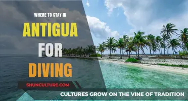 Best Dive Resorts in Antigua: Top Spots for Underwater Adventures