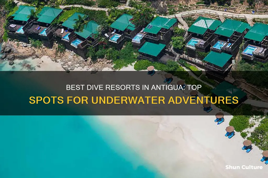 where to stay in antigua for diving