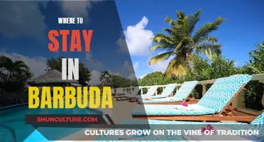 Barbuda's Best Accommodation Options for Your Vacation