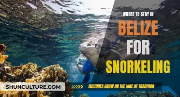 Best Belize Lodging for Snorkeling Enthusiasts