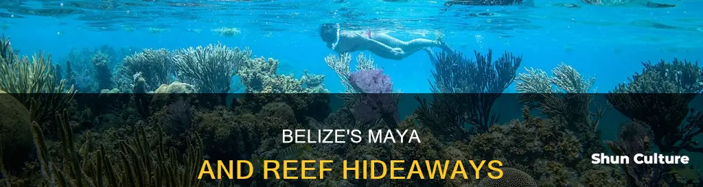 where to stay in belize to see maja and riff