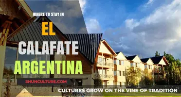Discovering El Calafate: A Guide to the Best Accommodations in Argentina's Glacier Capital