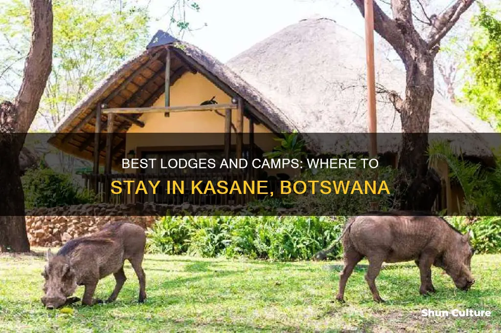 where to stay in kasane botswana