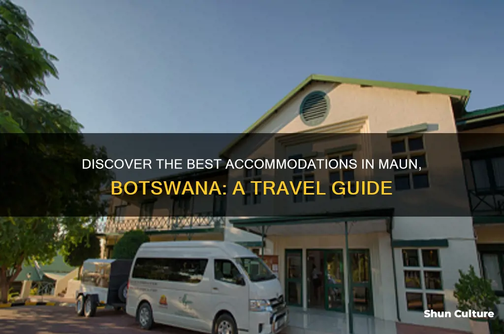 where to stay in maun botswana