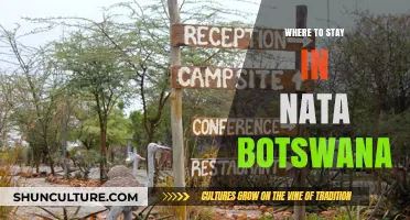 Best Accommodations and Lodges in Nata, Botswana: Your Ultimate Guide