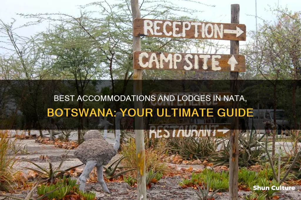 where to stay in nata botswana
