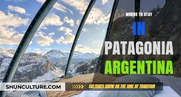 Exploring Patagonia: Top Picks for Your Argentine Adventure Stay