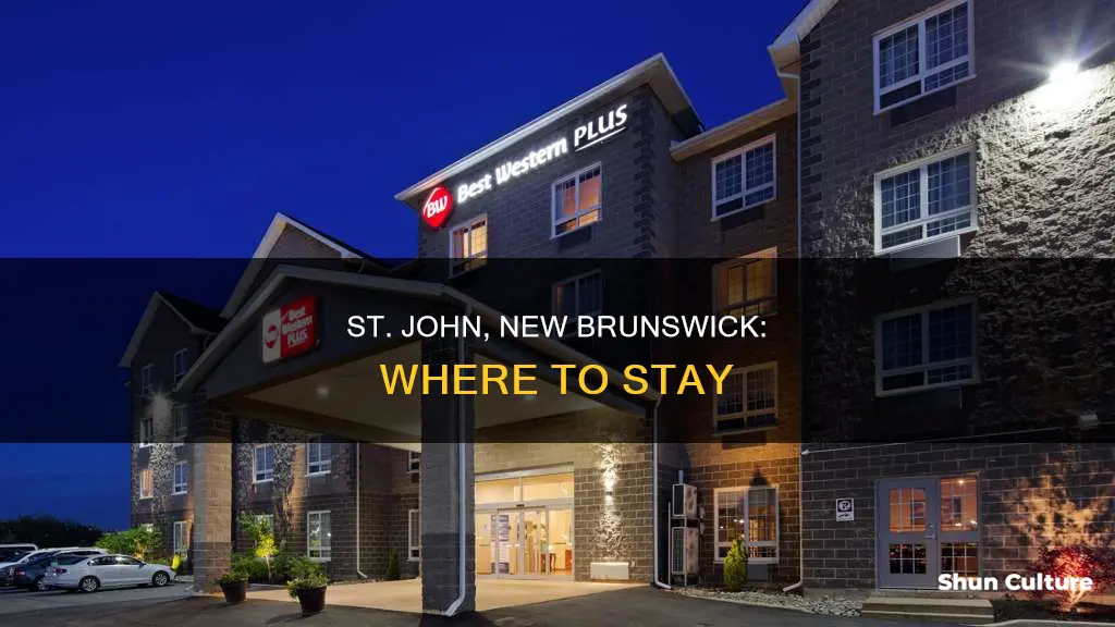 where to stay in st john new brunswick