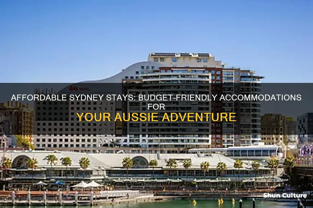 where to stay in sydney australia on a budget