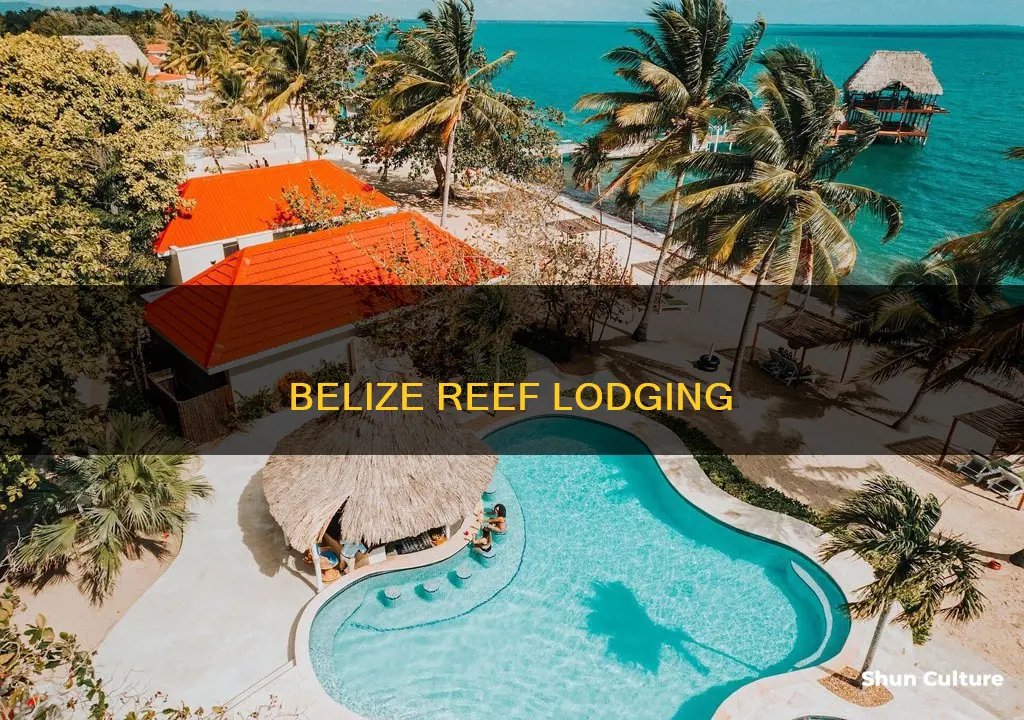 where to stay near belize barrier reef