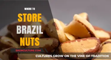 Best Storage Tips for Keeping Brazil Nuts Fresh and Tasty