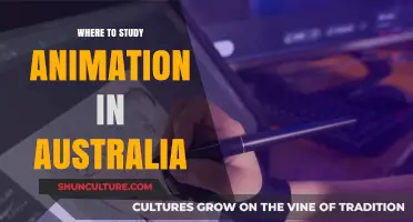 Best Animation Courses: Australia's Top Picks