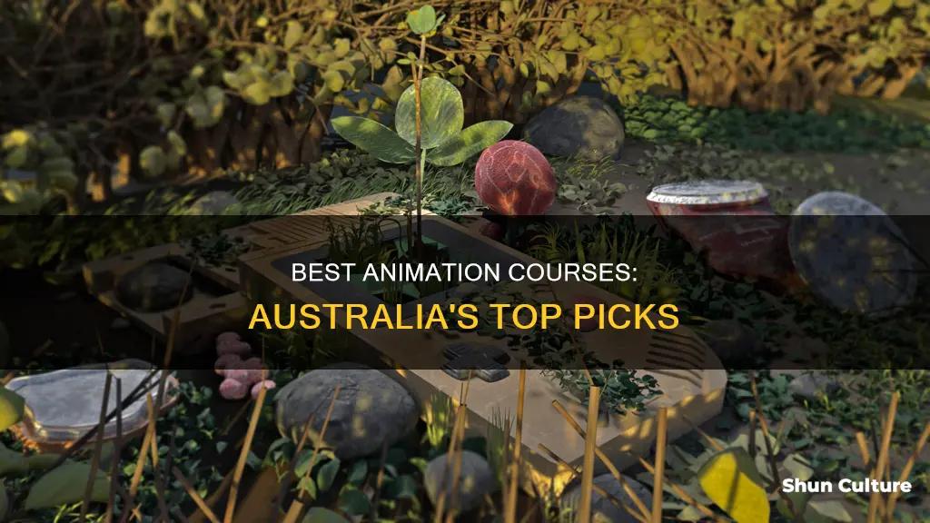 where to study animation in australia