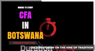 Best CFA Study Centers and Resources in Botswana: Your Guide