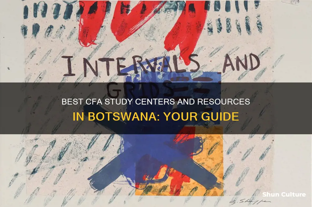 where to study cfa in botswana