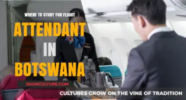 Best Flight Attendant Training Schools in Botswana: Your Guide to Success