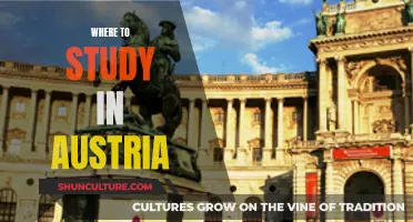 Study Spots in Austria: Where to Focus
