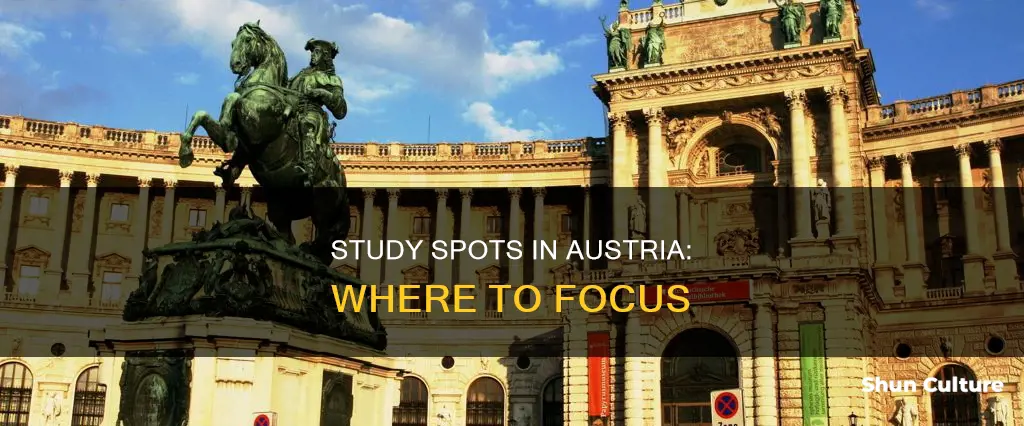 where to study in austria