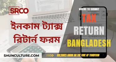 Tax Return Submission in Bangladesh: A Comprehensive Guide to Filing Locations
