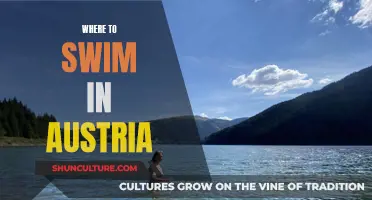 Swimming Spots in Austria: A Traveler's Guide