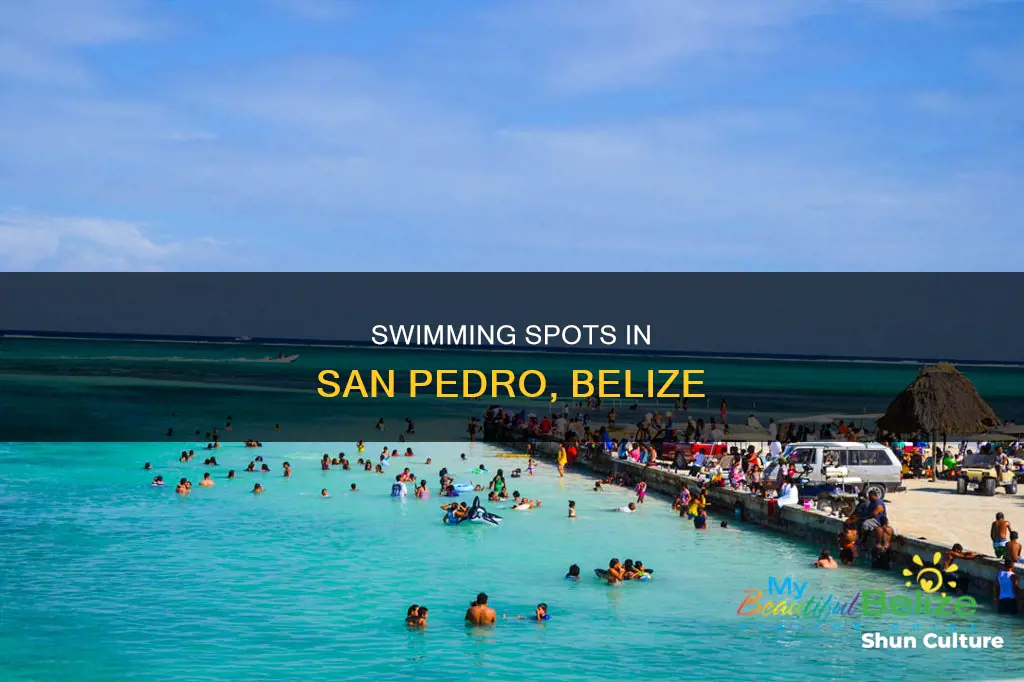 where to swim in san pedro belize