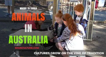Touch Wildlife in Australia: Best Places to Visit